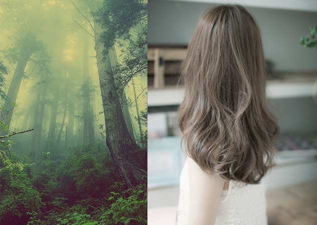 2018最流行的銀河紫、夕陽(yáng)紅、灰霧綠發(fā)色