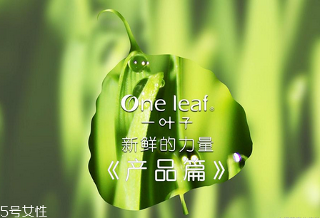 一葉子面膜能祛痘嗎 一葉子祛痘面膜推薦 一葉子面膜能祛痘嗎 一葉子祛痘面膜推薦