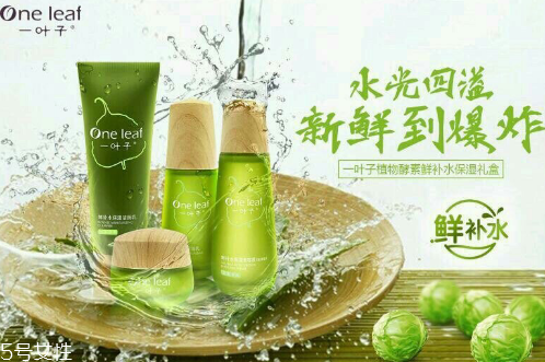 一葉子適合孕婦嗎 一葉子水乳怎么樣 一葉子適合孕婦嗎 一葉子水乳怎么樣