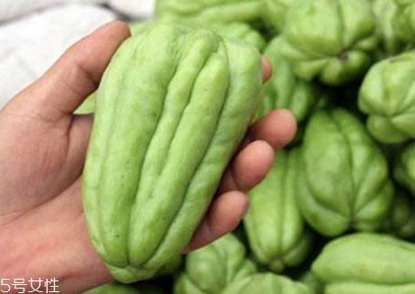 佛手瓜什么時(shí)候種最好 佛手瓜的育苗時(shí)間 佛手瓜什么時(shí)候種最好 佛手瓜的育苗時(shí)間