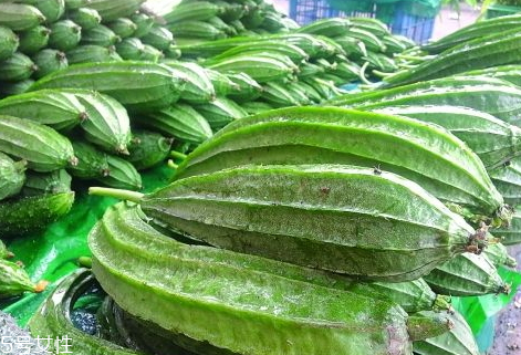 八棱瓜的種植時(shí)間季節(jié) 八棱瓜怎么種植 八棱瓜的種植時(shí)間季節(jié) 八棱瓜怎么種植