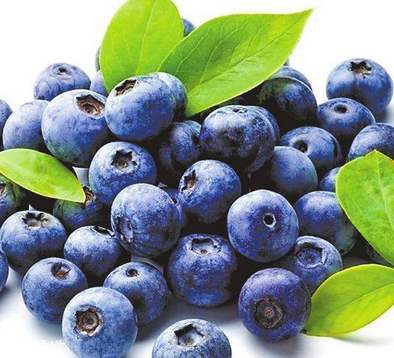 花青素能減肥嗎？減肥吃花青素好嗎？