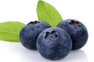 花青素是雌激素嗎？花青素是什么？