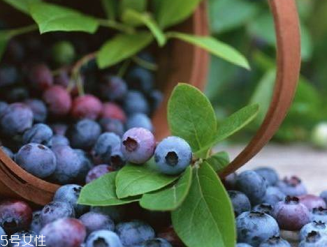 含花青素高的食物排行榜 含花青素高的食物排行榜
