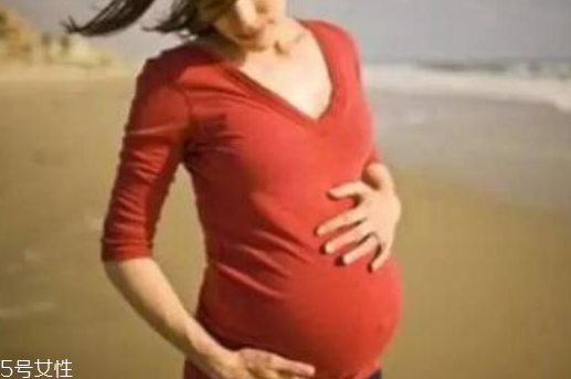 胎兒性別什么時候定的 胎兒性別主要看這3點 胎兒性別什么時候定的 胎兒性別主要看這3點