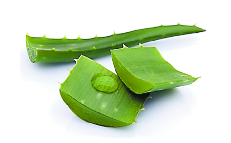 蘆薈面膜要洗嗎 用完蘆薈面膜不洗臉會(huì)怎樣 蘆薈面膜要洗嗎 用完蘆薈面膜不洗臉會(huì)怎樣