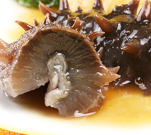 海參會過期嗎？海參的保質期