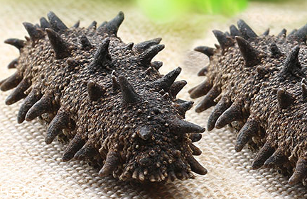 海參會過期嗎？海參的保質期