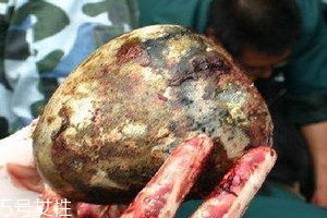 羊?qū)氃趺幢４?羊?qū)毜那逑捶椒?><p><strong>羊?qū)氃趺幢４?羊?qū)毜那逑捶椒?/strong></p></a></li> 	     </ul>
		</div>
	   <div   id=