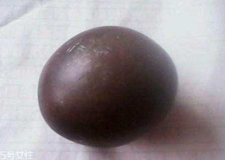 驢寶是什么東西 驢寶的保存方法 驢寶是什么東西 驢寶的保存方法