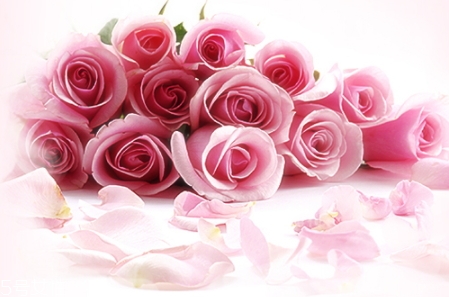 jm玫瑰防曬噴霧和jm珍珠防曬噴霧哪個(gè)好？