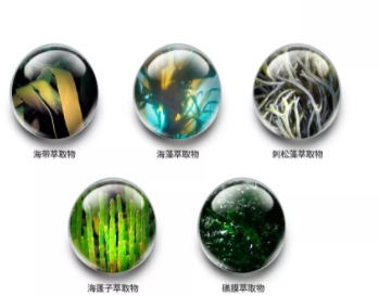 jm防曬噴霧什么味道？jmsolution防曬噴霧好聞嗎？