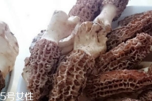 羊肚菌是什么東西？羊肚菌能吃嗎？