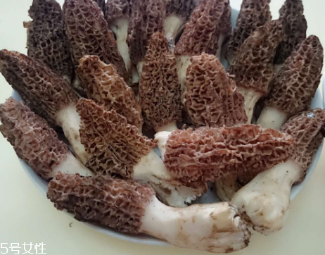 羊肚菌是什么東西？羊肚菌能吃嗎？