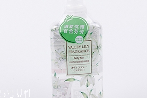 香體噴霧哪個(gè)牌子好？香體噴霧排行榜