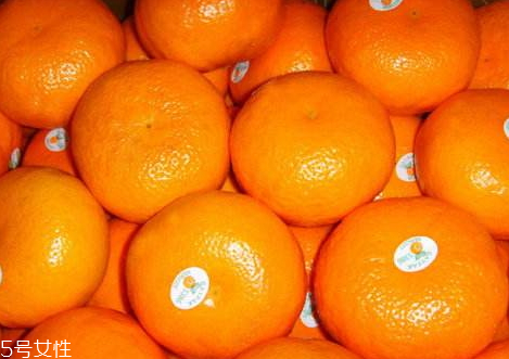 澳柑多少錢一斤 澳柑怎么挑選 澳柑多少錢一斤 澳柑怎么挑選