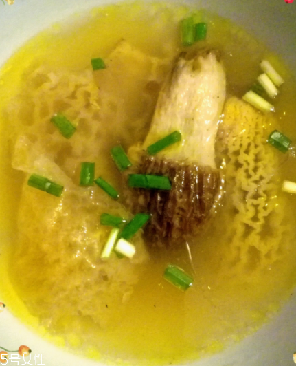 羊肚菌是怎么長出來的？