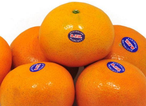 澳柑什么時候上市 澳柑成熟時間 澳柑什么時候上市 澳柑成熟時間