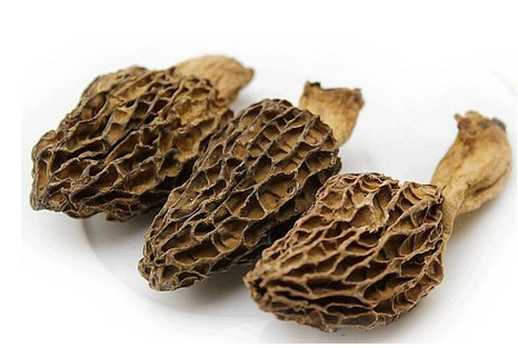 羊肚菌是發(fā)物嗎？羊肚菌屬于發(fā)物嗎？