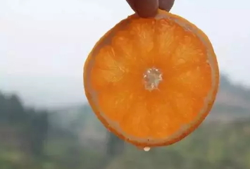 青見柑橘上火嗎？青見柑橘一天吃幾個(gè)好