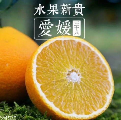 愛媛38號多少錢一斤？愛媛38號柑桔市場行情