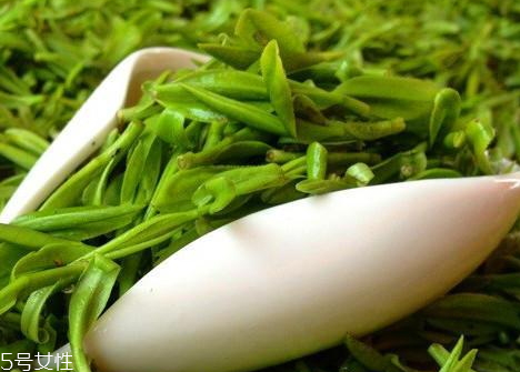 烏牛早什么時候上市 烏牛早茶采摘時間 烏牛早什么時候上市 烏牛早茶采摘時間