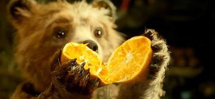 倫晚臍橙和夏橙哪個好？倫晚臍橙和其他橙子的區(qū)別