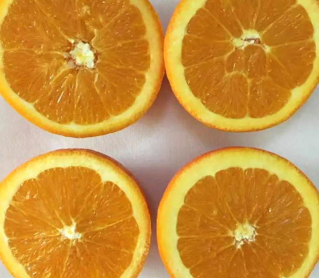 倫晚臍橙和夏橙哪個好？倫晚臍橙和其他橙子的區(qū)別