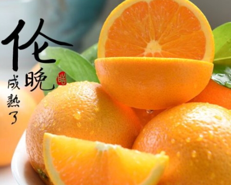 倫晚臍橙和夏橙哪個好？倫晚臍橙和其他橙子的區(qū)別