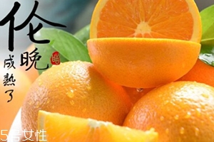 倫晚臍橙口感是酸的還是甜的？倫晚臍橙好吃嗎