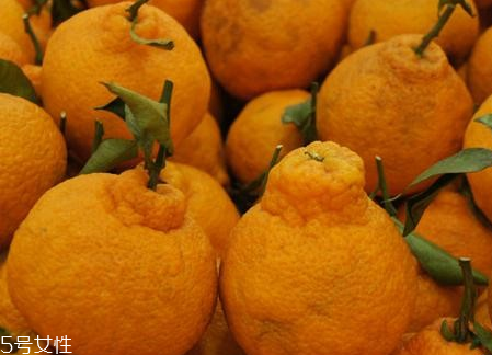 丑柑是哪里產(chǎn)的 丑柑在四川的什么地方 丑柑是哪里產(chǎn)的 丑柑在四川的什么地方