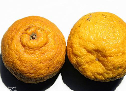 臭皮柑蒸冰糖的功效 臭皮柑的吃法 臭皮柑蒸冰糖的功效 臭皮柑的吃法