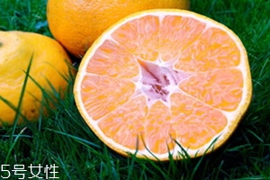 臭皮柑蒸冰糖的功效 臭皮柑的吃法 臭皮柑蒸冰糖的功效 臭皮柑的吃法