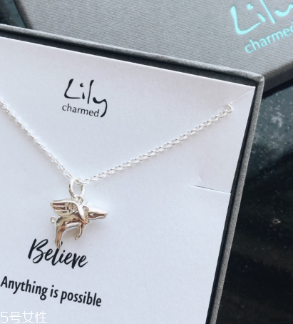 lily charmed怎么樣？lily charmed項鏈好嗎