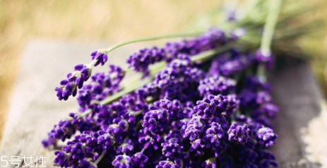 自制爽膚水敏感肌能用嗎 自制爽膚水注意事項 自制爽膚水敏感肌能用嗎 自制爽膚水注意事項