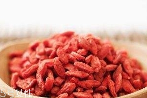 枸杞是哪個(gè)地方的特產(chǎn)？哪里產(chǎn)的枸杞好？