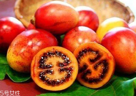 樹(shù)番茄怎么種 樹(shù)番茄的生長(zhǎng)條件 樹(shù)番茄怎么種 樹(shù)番茄的生長(zhǎng)條件