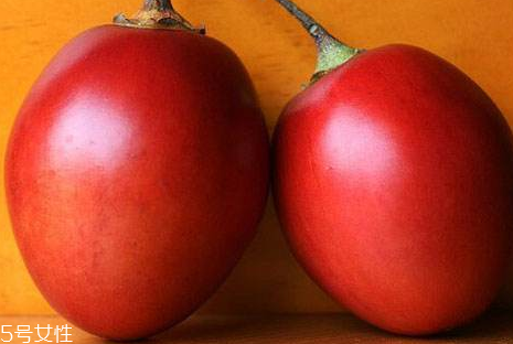 樹(shù)番茄怎么種 樹(shù)番茄的生長(zhǎng)條件 樹(shù)番茄怎么種 樹(shù)番茄的生長(zhǎng)條件