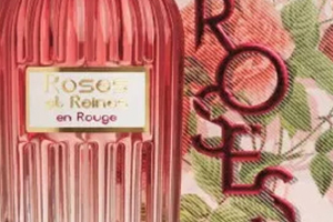 歐舒丹玫瑰蜜語系列多少錢？哪里買？