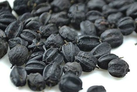 刺五加什么人不能吃 刺五加適合什么人吃 刺五加什么人不能吃 刺五加適合什么人吃