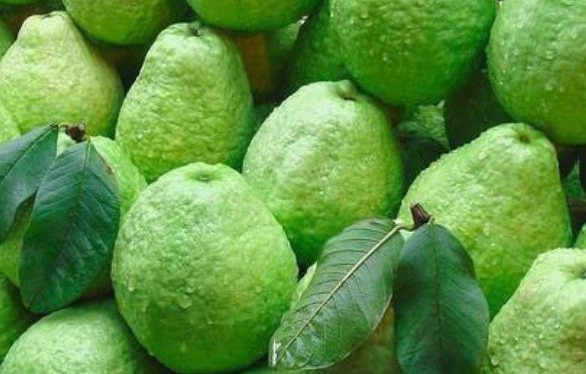 低糖水果有哪些？十大低糖水果排行榜