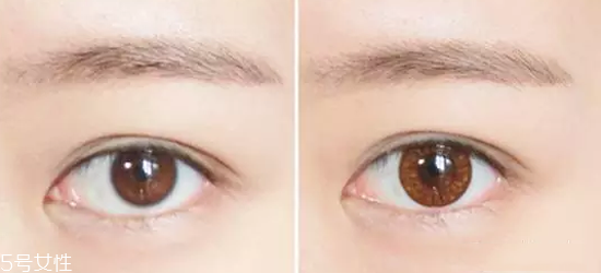 簡單日常淡妝怎么畫好看 香檳色日常眼影的畫法圖解 簡單日常淡妝怎么畫好看 香檳色日常眼影的畫法圖解