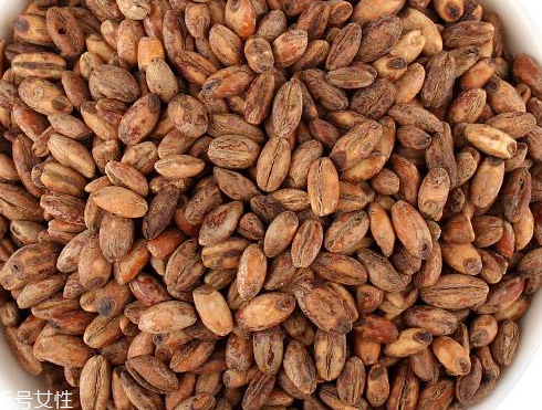 青稞茶怎么做好吃？青稞茶做法