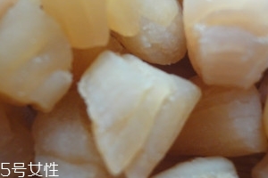 干貝是海鮮嗎？干貝是什么動物做的？