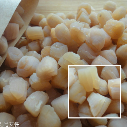 干貝是海鮮嗎？干貝是什么動物做的？