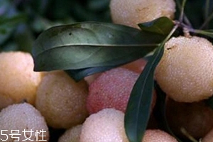 白楊梅好還是紅楊梅好吃？白楊梅和紅楊梅對比