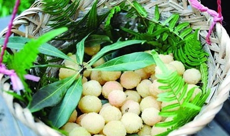 哪里能買到白楊梅？白楊梅上市時(shí)間