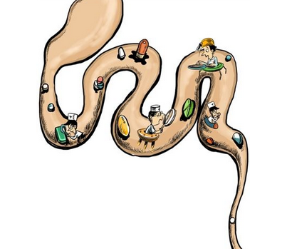 瀉藥會影響吸收嗎？瀉藥對吸收有影響嗎？