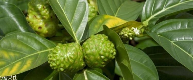 米蘭達可兒自創(chuàng)品牌kora怎么樣？kora明星產品有什么？