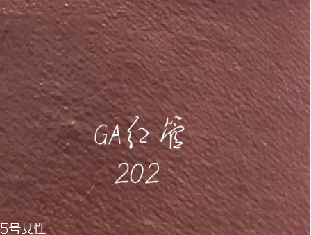 阿瑪尼紅管202有替代色嗎 阿瑪尼紅管202唇釉試色 阿瑪尼紅管202有替代色嗎 阿瑪尼紅管202唇釉試色